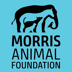 Link to Morris Animal Foundation Website