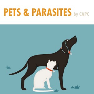 Link to Companion Animal Parasite Council Website