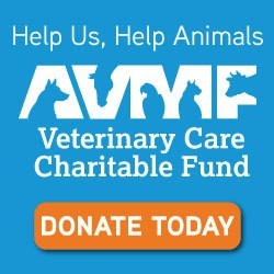 Help Us, Help Animals. AVMF - Veterinary Charitable Fund. Donate Today!